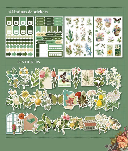 Plant Paradise | Botánico | 180 piezas