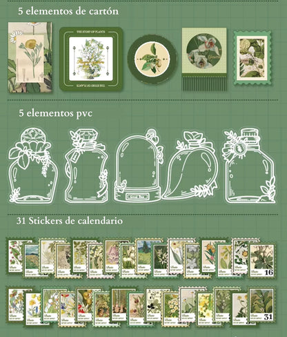 Plant Paradise | Botánico | 180 piezas