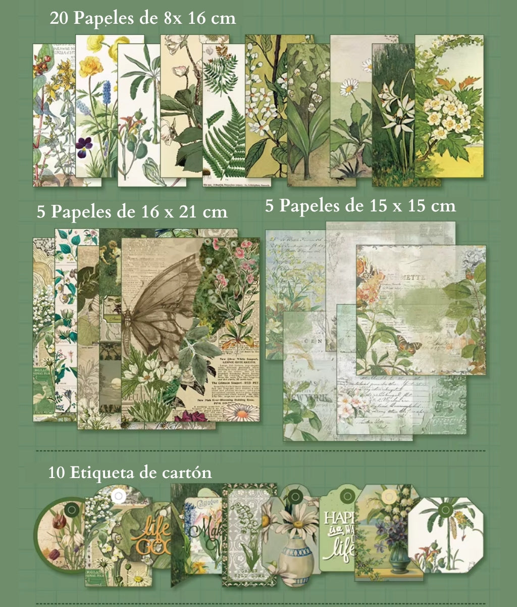 Plant Paradise | Botánico | 180 piezas